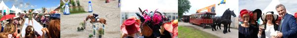 banner ladiesday 2017